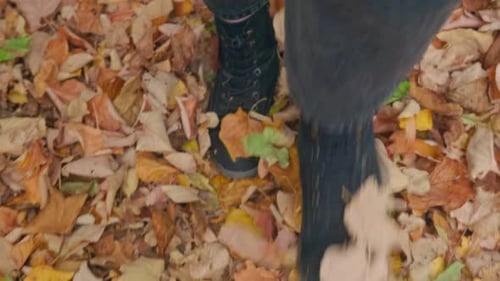 Feet slow walk on fallen golden autumn leaves close up track back