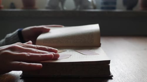 Mujer encuentra pétalos de flores secos y prensados en un libro