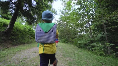 children walking through the forest path