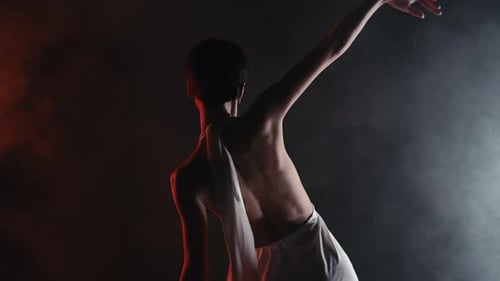 Gorgeous Flexible Woman with Bare Back Performing Amazing Modern Choreography Elegant Contemporary