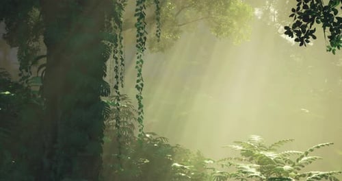 Sunlight Filtering Through Dense Foliage in a Tranquil Forest Setting