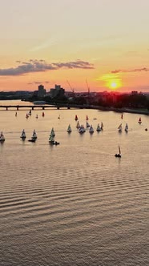 Sailboats glide on the Charles River during a summer sunset in Boston
