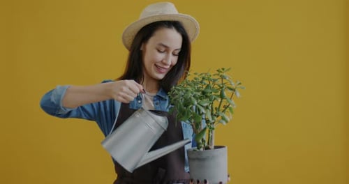 Portrait of Cheerful Female Florist Watering Plant From Pot and Smiling Looking at Camera on Yellow