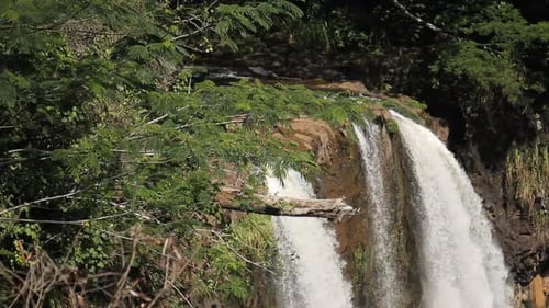 Waterfall Flows Down in Forest Surrounded by Green Bushes