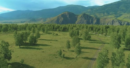 Luftbild