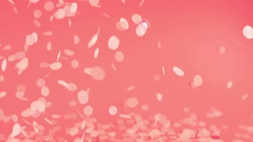 Pink Confetti and Petals Falling Abstract Background
