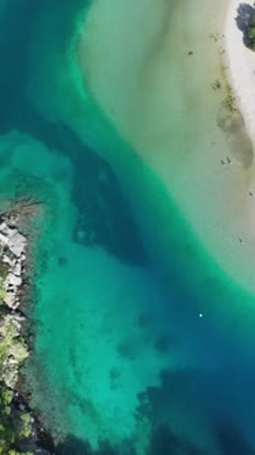 Summer seaside landscape from aerial view