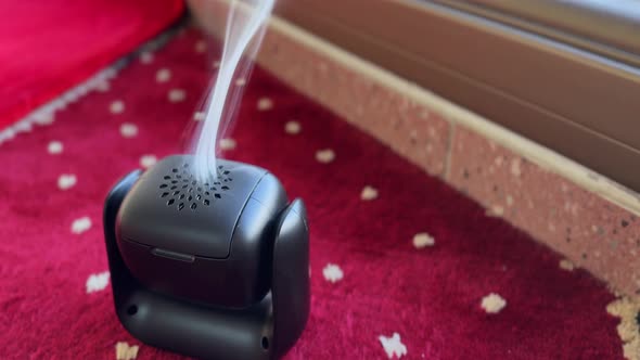 Modern Incense Diffuser Releasing Fragrant Smoke on Red Prayer Rug – 4K ...