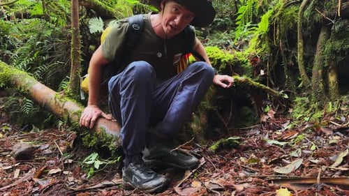 Man Explores Lush Forest, Sits on Mossy Log