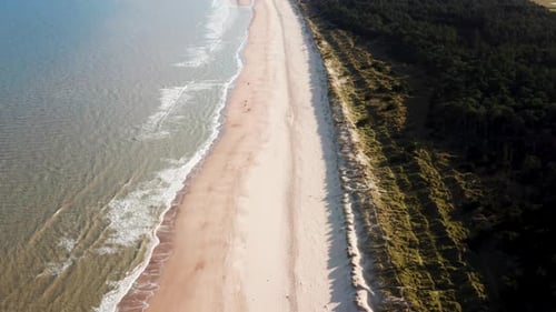 Vista aérea de arriba hacia abajo de personas caminando por Raven Beach en Wexford