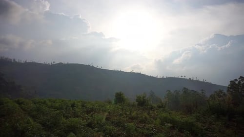 beautiful mountain natural scenery natural panorama of hills, with forest of tall green trees