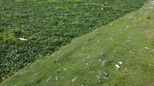 Terrain gazonné avec beaucoup de déchets dessus