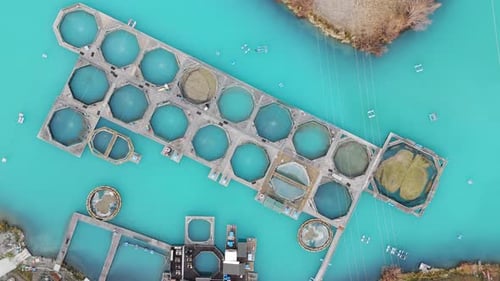 Top-down drone shot slowly descending and rotating above circular fish pens at High Country Salmon i