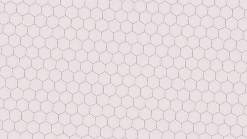 white background