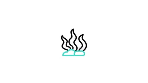 Animated Minimalist Line Art Seaweed with Rising Bubbles