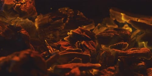 Close Up Of Glowing Fire