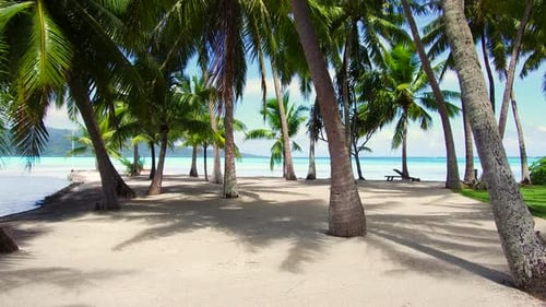 Travel, Seascape and Nature Concept - Tropical Beach with Palm Trees And