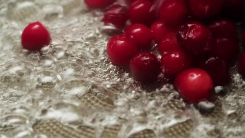 Frozen Cranberries Cooking for Tea or Jam Background Close Up of Cranberry Berries in on the Kitchen