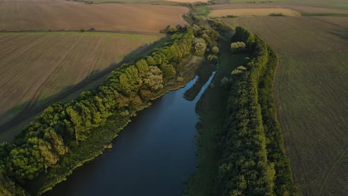 Aerial Panoramic View on the Small River Among Agricultural Fields Drone Flies Forward