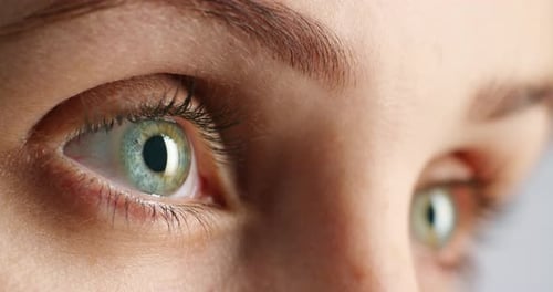 Woman, moving eyes or eye vision macro against a gray studio background