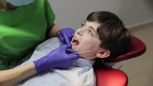 A Young Boy Has His Dental Care Routine Checked and Undergoes a Thorough Examination at the Dentists
