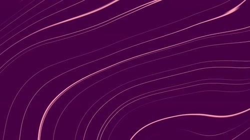 Fluid Abstract Wavy Lines Background Animation