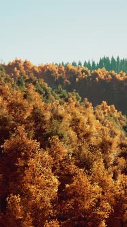 Stunning Landscape During Fall for September