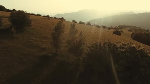 Cinematic Aerial Shot of an Endless Mountain and Forest Landscape
