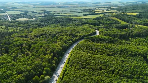 Winding road in lush forests.