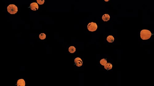 Pumpkins slow fall alpha.