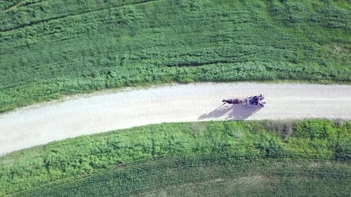 Horse and Buggy Ride in Green Fields