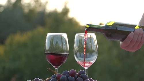 Woman's hand pouring bottle of red wine in wine glass at sunset in slow motion