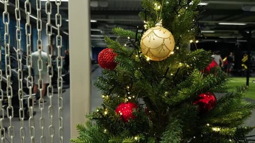 Christmas Tree in Gym with Exercise Equipment