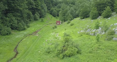 Borov Kamak, Vratsa, Bulgarie, ruisseau dans la forêt