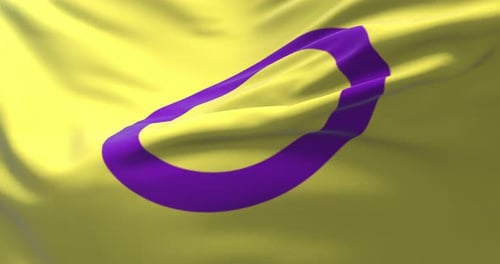 Drapeau Intersex Pride