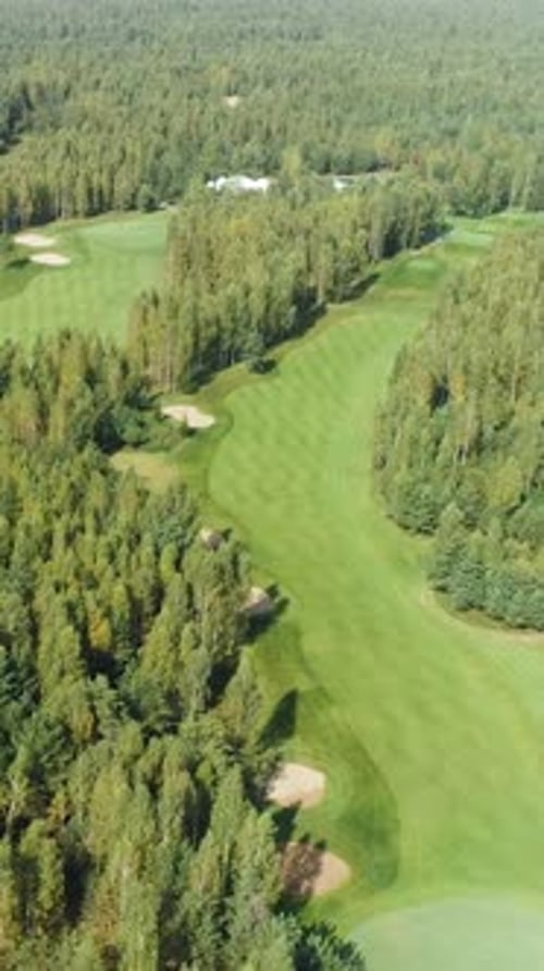 Green Fields in Summer Day Aerial View of Golf Course in Forest Area Golf Club View of the Field of