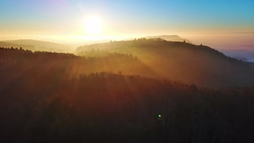 Silhouettes of Coniferous Trees in a Forest in Hilly Valley Against the Background of a Bright Sun