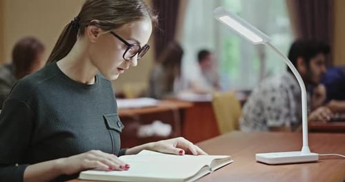 Mittlere Aufnahme, Seitenansicht einer ziemlich aufmerksamen, seriösen Studentin mit Brille, die nach Informationen sucht