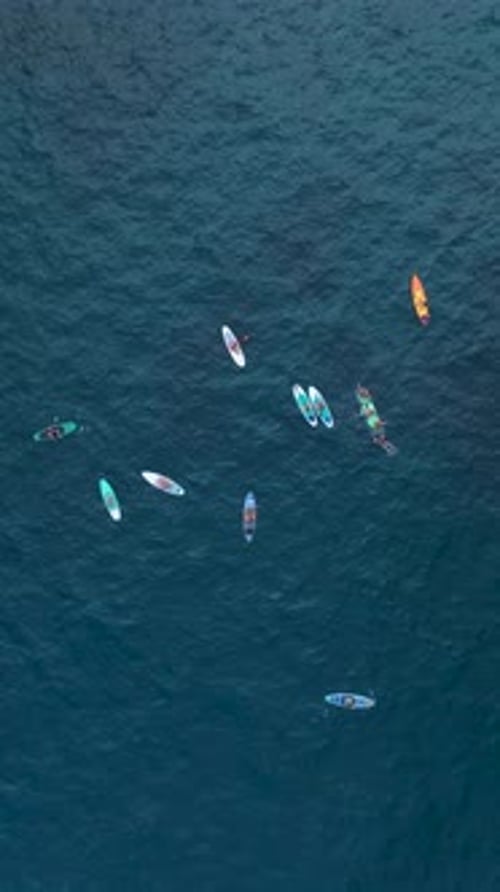 Aerial View of People Paddleboarding in the Ocean