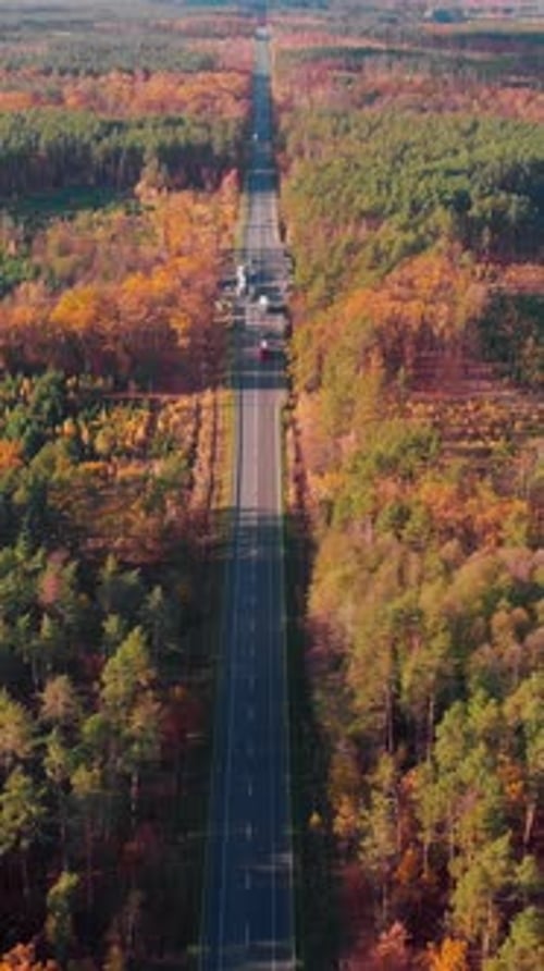 Multiple lane speedway with driving cars in colorful fall forest. Vertical video