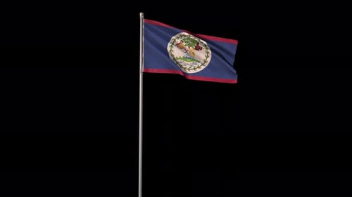 Belize National Flag Waving Seamlessly on Transparent Background