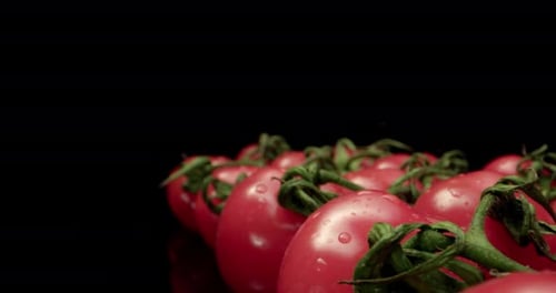 Tasty red cocktail tomatoes super close-up with dark background unique high resolution 4k shoot Glos
