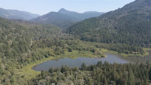 Luftaufnahme des Sees und der grünen Bäume im Wald um die Berglandschaft