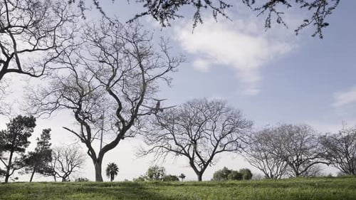 Airplane Flying over Grassy Urban Park on Sunny Day