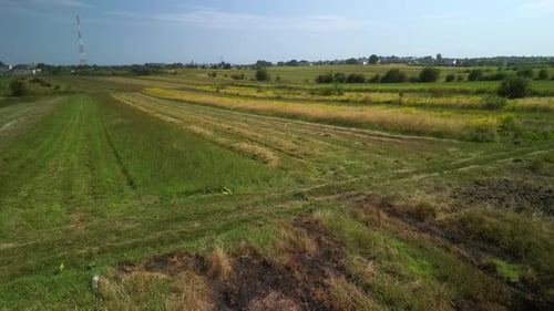 Wheat field aerial view in Ukraine