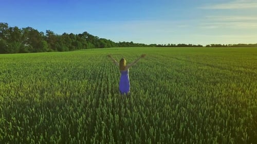 Young woman enjoys freedom standing in green wheat field under summer sky
