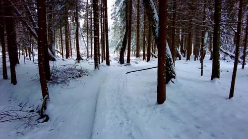POV short of person walking in the snow in-between the trees. Cinematic Slowly walking on path at sn