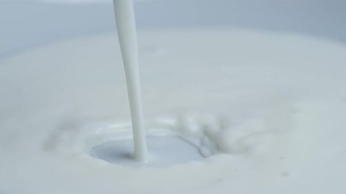 Pouring Fresh Milk