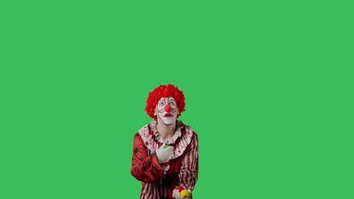 Funny Clown on Green Screen Chroma Key