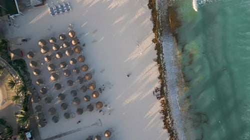 Aerial Top-Down View of Tropical Beach with Umbrellas and Resorts and Turquoise Ocean in Playa del C